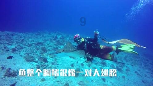 请放心!天心区生活物资供应充足、价格平稳